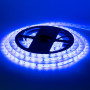 LED лента 12В синяя smd 2835 60led/м IP65, 1м
