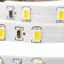 LED лента 12В белая smd 5730 60led/м IP20, 1м