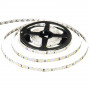 LED лента 12В белая smd 3528 60led/м IP65, 1м