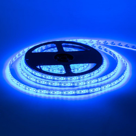 LED лента 12В синяя smd 2835 120led/м IP65, 1м