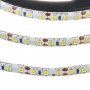 LED лента 12В белая smd 2835 120led/м IP65, 1м