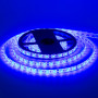 LED лента 12В синяя smd 5050 60led/м IP20, 1м