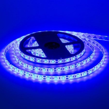 LED лента 12В синяя smd 5050 60led/м IP65, 1м