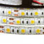 LED лента 12В теплая белая smd 5050 60led/м IP20, 1м