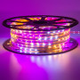 Мигающая LED лента Multi-Color 220В smd 2835 48led/м 6Вт/м IP65, 1м