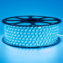 LED лента 220В синяя smd 2835 120led/м 12Вт/м IP65, 1м