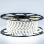 LED лента 220В нейтральная белая smd 3014 120led/м 5,5Вт/м IP65, 1м