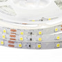 LED лента 12В белая smd 2835 60led/м IP20, 1м