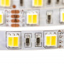 LED лента W+WW 12В AVT smd 5025 60led/м IP20, 1м