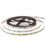 LED лента 24В AVT нейтральная белая smd 2835 120led/м IP20, 1м