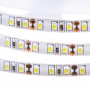 LED лента 12В AVT-New белая smd 3528 120led/м IP20, 1м