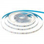 LED лента 12В AVT-Prof белая smd 2835 60led/м IP20, 1м