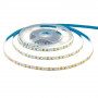 LED лента 12В AVT-Prof белая smd 2835 120led/м IP20, 1м