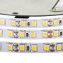 Led лента AVT 24В белая smd2835 126LED/m IP20, 1м